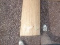 /album/photo-construction/p1010476-jpg/