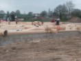 /album/photo-construction/p1010498-jpg/